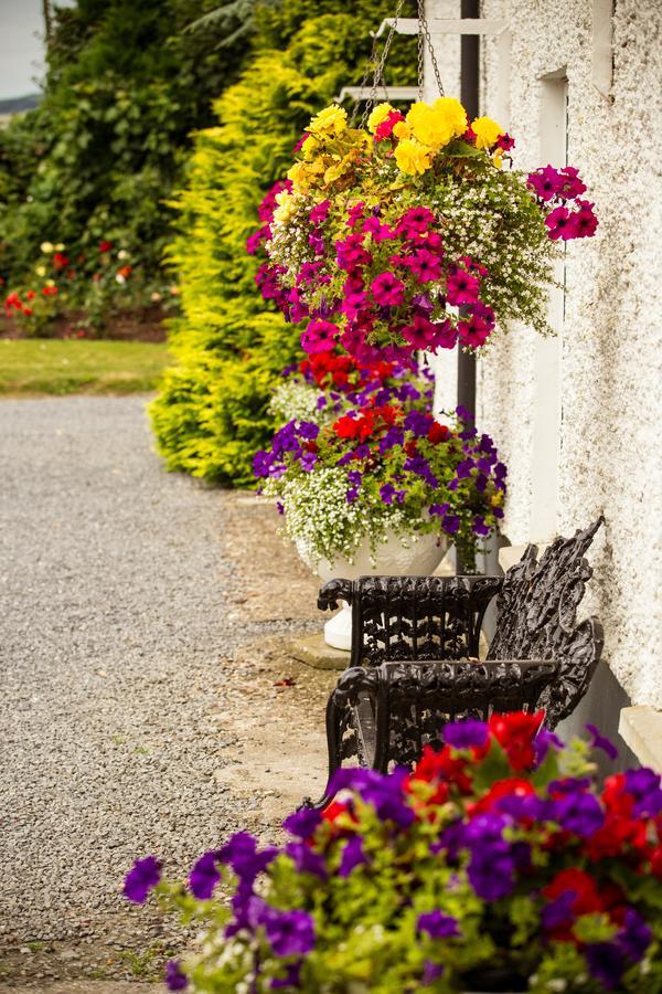 Glasha Farmhouse Casa de hóspedes Ballymacarbry Exterior foto